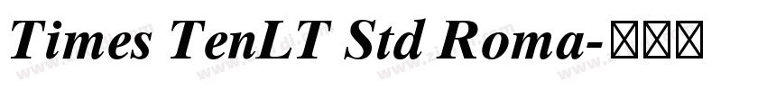 Times TenLT Std Roma字体转换